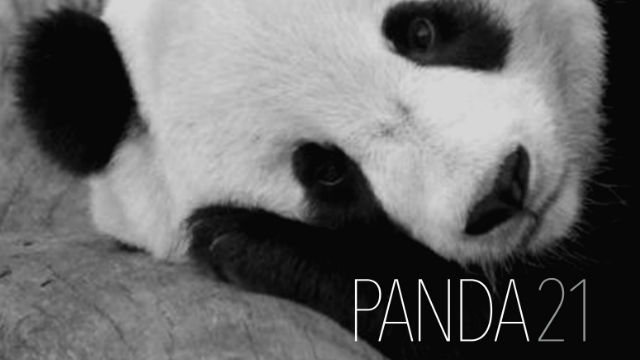 PANDA21